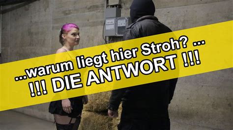 warum liegt hier stroh|Deutscher Viralhit: Die Antwort darauf, warum damals .